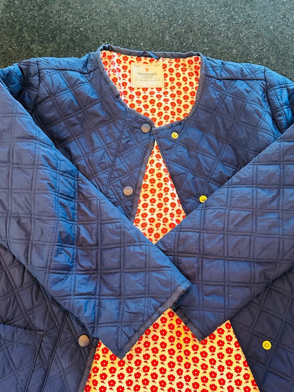 Crew cuts Jacket (L)